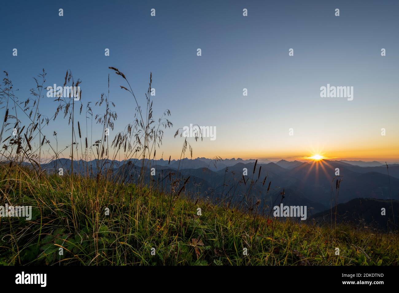 Sonnenstern bei Sonnenuntergang in den Bergen, genauer gesagt über dem Karwendelgebirge, am linken Bildrand hohes Gras in einer Bergwiese. Stockfoto