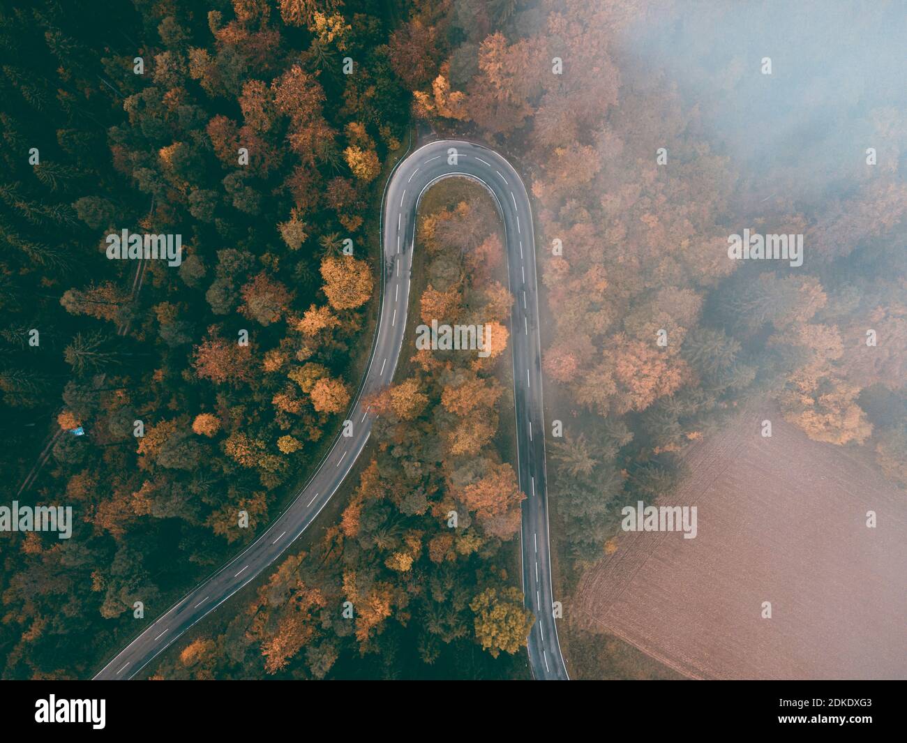 Herbst auf der Schwäbischen Alb, Straße, Haarnadelkurve, Haarnadelkurve, Luftbild, Baden-Württemberg, Deutschland, Europa Stockfoto