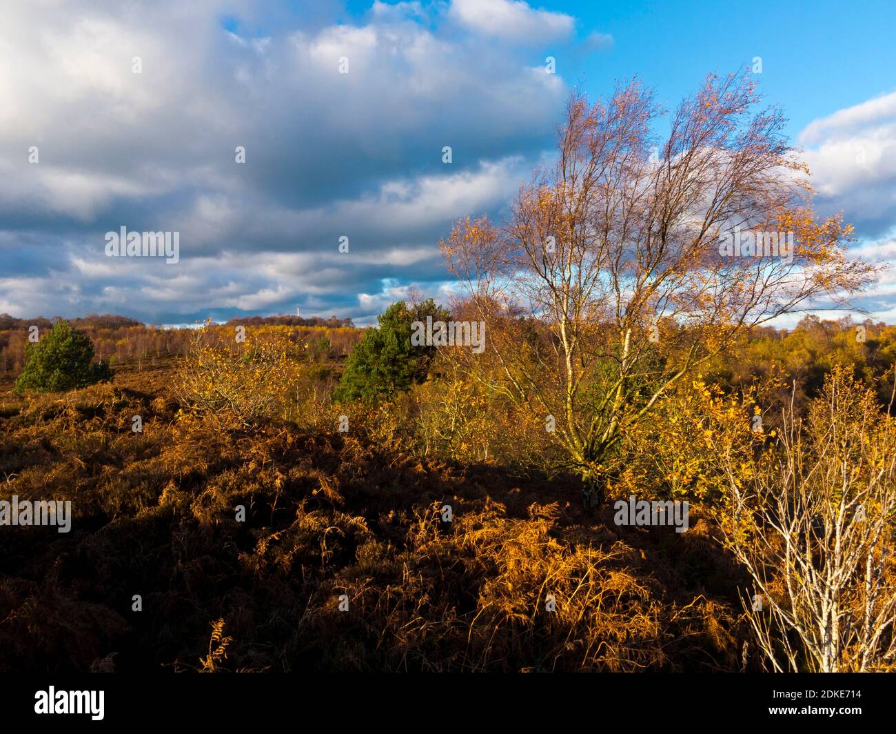 Herbstlandschaft in Stanton Moor ein Hochland in der Nähe von Bakewell Im Peak District National Park Derbyshire Dales England Stockfoto