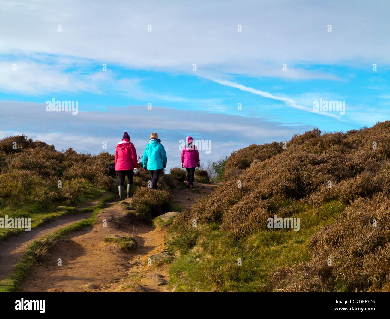 Rückansicht von drei Personen, die auf einem Moorpfad bei Wintersonne mit blauem Himmel und Wolken wandern. Stockfoto