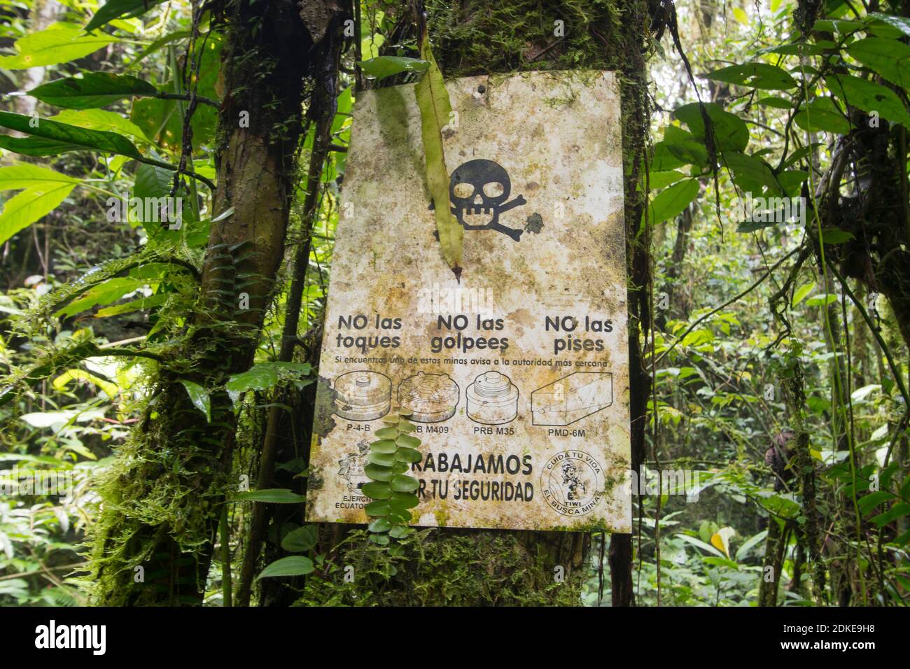 Minenfeld in einem abgelegenen Teil des Regenwaldes im äußersten Südosten Ecuadors an der peruanischen Grenze. In der Cordillera del Condor. Übrig geblieben von Stockfoto