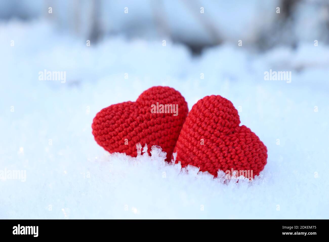 Valentine Herzen auf einem Schnee im Winterwald. Zwei rote gestrickte Symbole der Liebe, Hintergrund für romantische Grußkarte Stockfoto