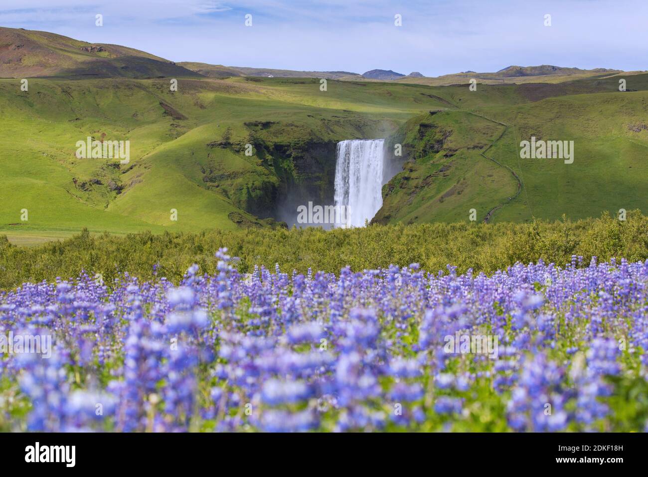 Skogafoss, 63 m hoher Wasserfall am Fluss Skógá im Sommer, Skógar, Island Stockfoto