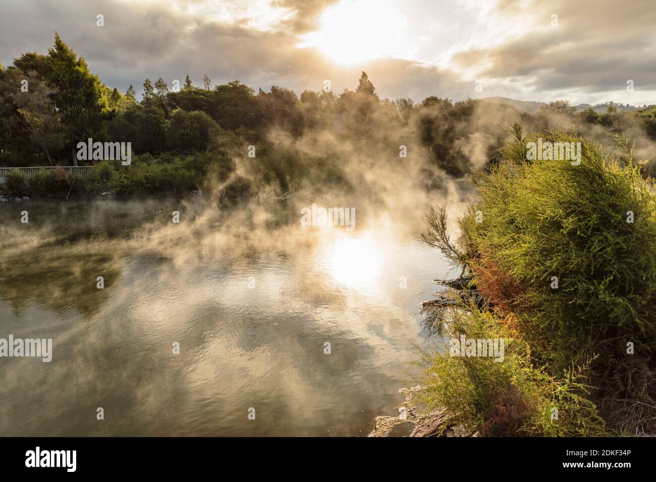 Kuirau Park, Geothermie, Rotorua, Bay of Plenty, Nordinsel, Neuseeland Stockfoto