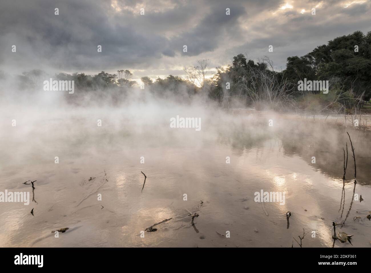 Kuirau Park, Geothermie, Rotorua, Bay of Plenty, Nordinsel, Neuseeland Stockfoto