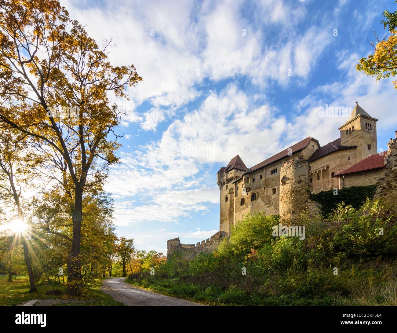 Maria Enzersdorf, Schloss Liechtenstein, Ursprungsort des Hauses Liechtenstein, Herbstblätter, Wienerwald, Niederösterreich, Österreich Stockfoto