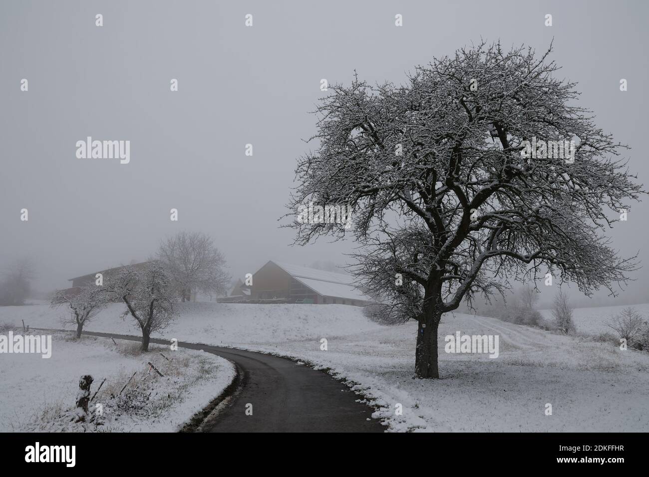 Winterlandschaft mit Bäumen bedeckt mit weißem Schnee. Stockfoto