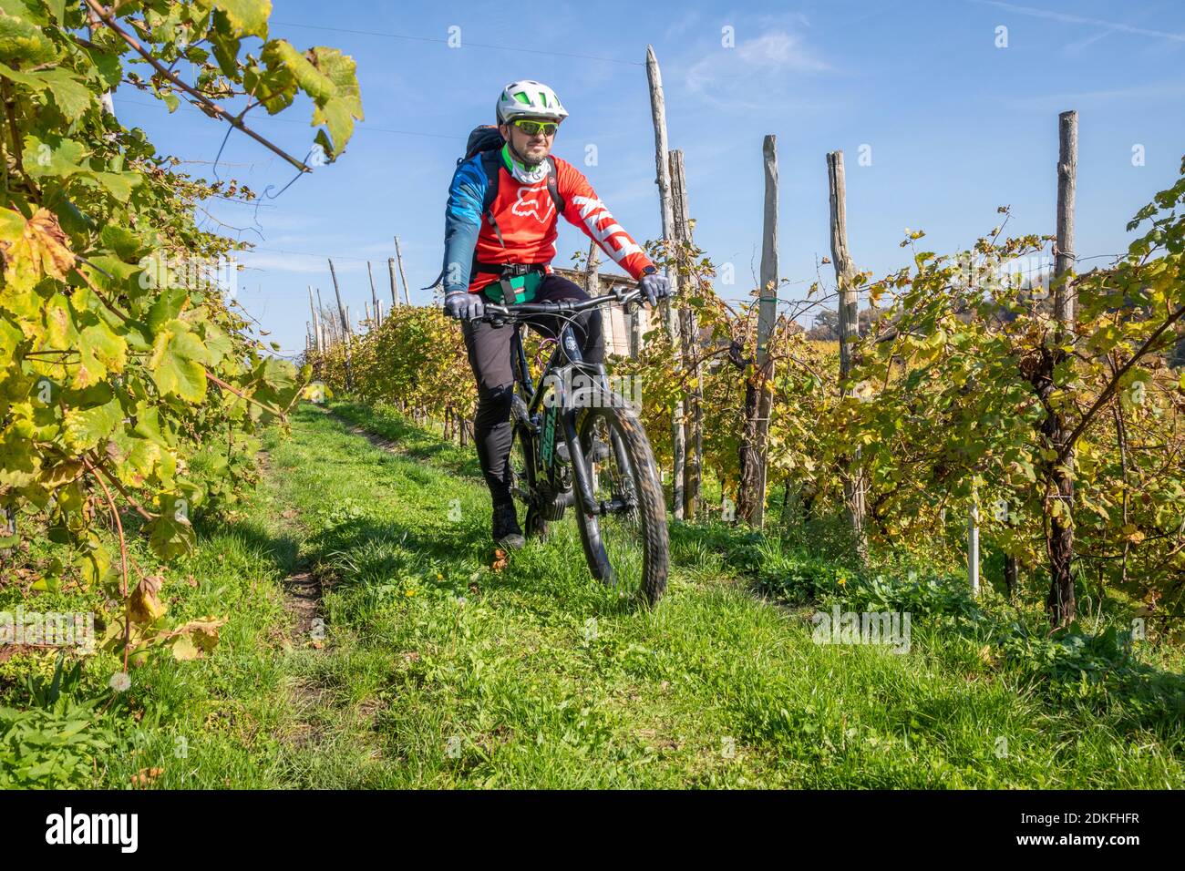 Ein Mann fährt im Herbst mit einem E-Bike (E-mtb) durch die Weinberge von Prosecco, Weinberge von Valdobbiadene, Provinz Treviso, Venetien, Italien Stockfoto