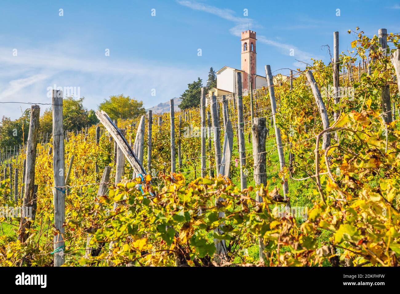 Das Oratorium der seligen Jungfrau des Leidens auf dem Hügel von Combai, zwischen den Weinbergen im Herbst, Miane, Treviso, Italien, Europa Stockfoto