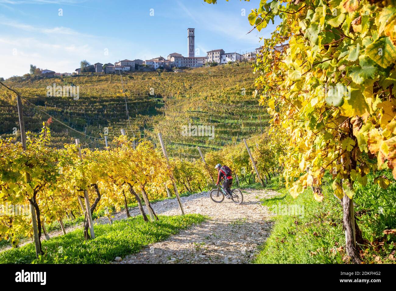 Ein Mann fährt im Herbst mit einem E-Bike (E-mtb) durch die Weinberge von Prosecco, San Pietro di Barbozza, Valdobbiadene, Provinz Treviso, Venetien, Italien Stockfoto
