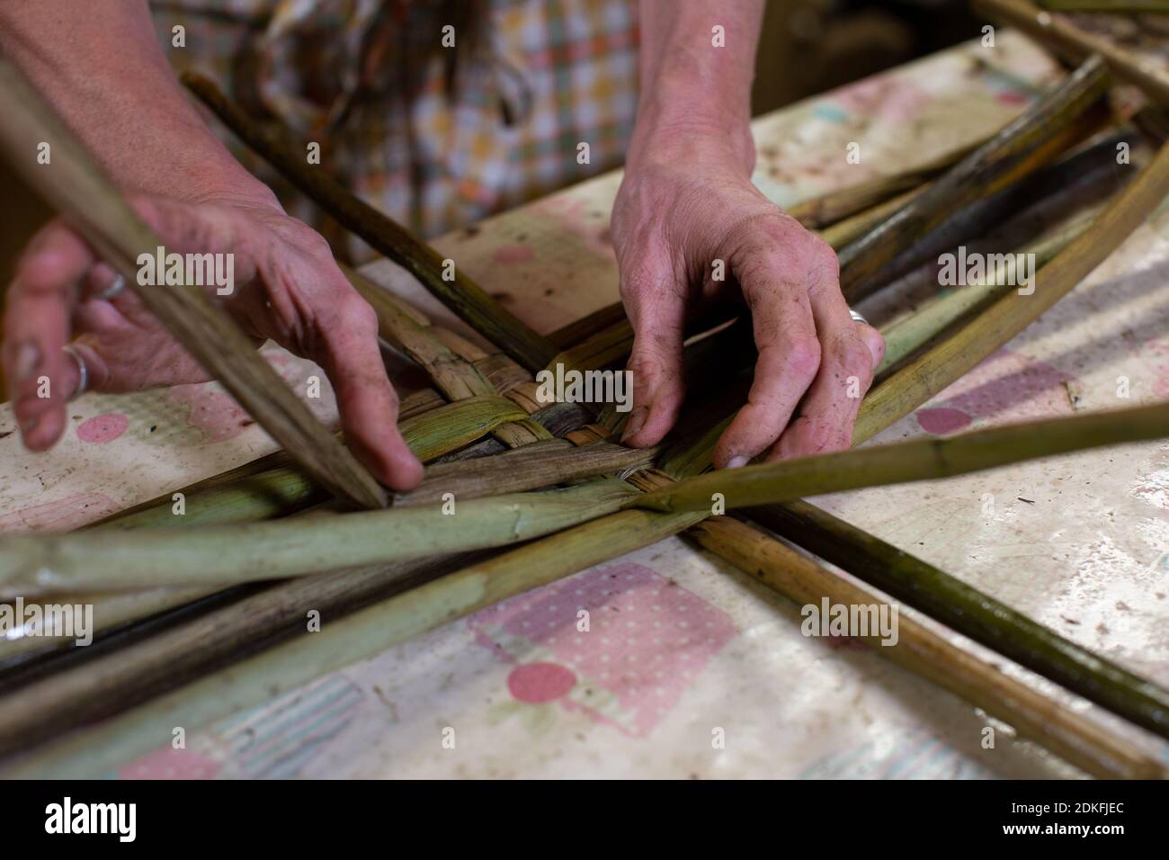 Felicity Irons Gründer von Rushmatters, einer der letzten noch verbliebenen Rush Weavers in Großbritannien, ein Handwerk, das seit angelsächsischen Zeiten unverändert bleibt. Stockfoto