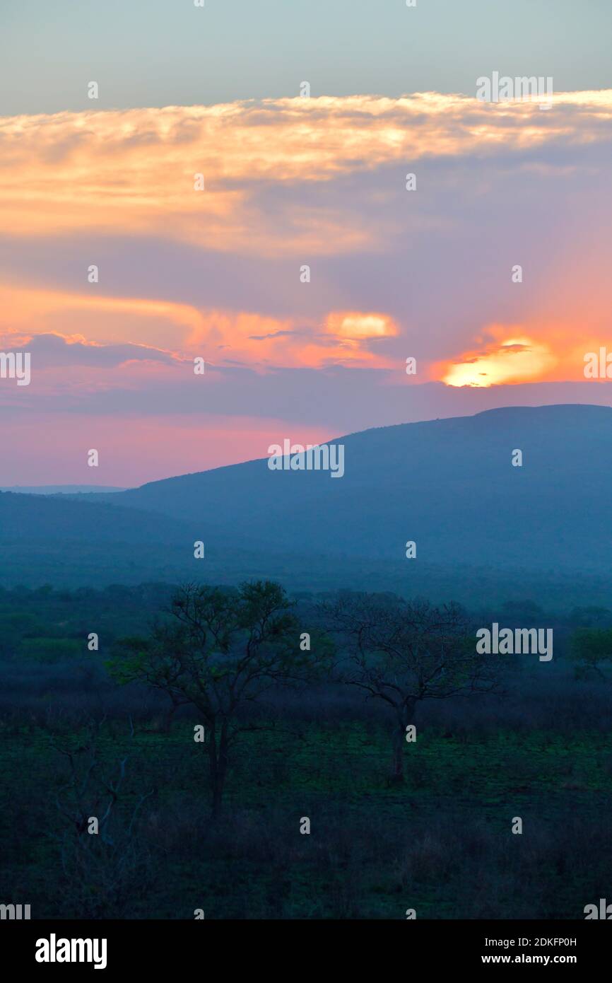 Bushveld Sonnenuntergang, UMkhuze Game Reserve, KwaZulu Natal, Südafrika. Stockfoto