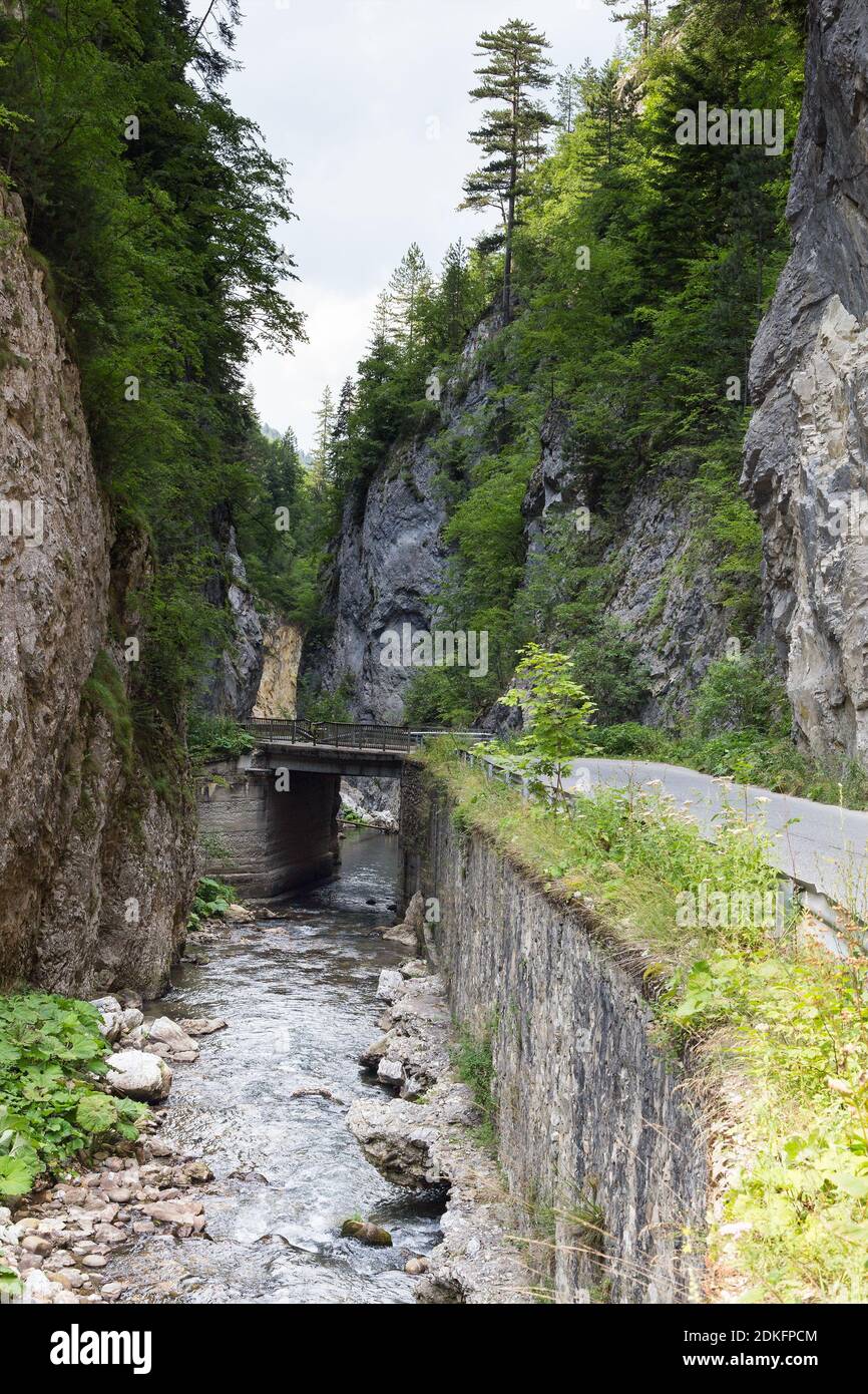 Schmale Motorstraße entlang eines Gebirgsflusses in der Schlucht der Rhodopen, reichlich überwuchert mit Laub- und immergrünen Wäldern an sonnigen Summ Stockfoto