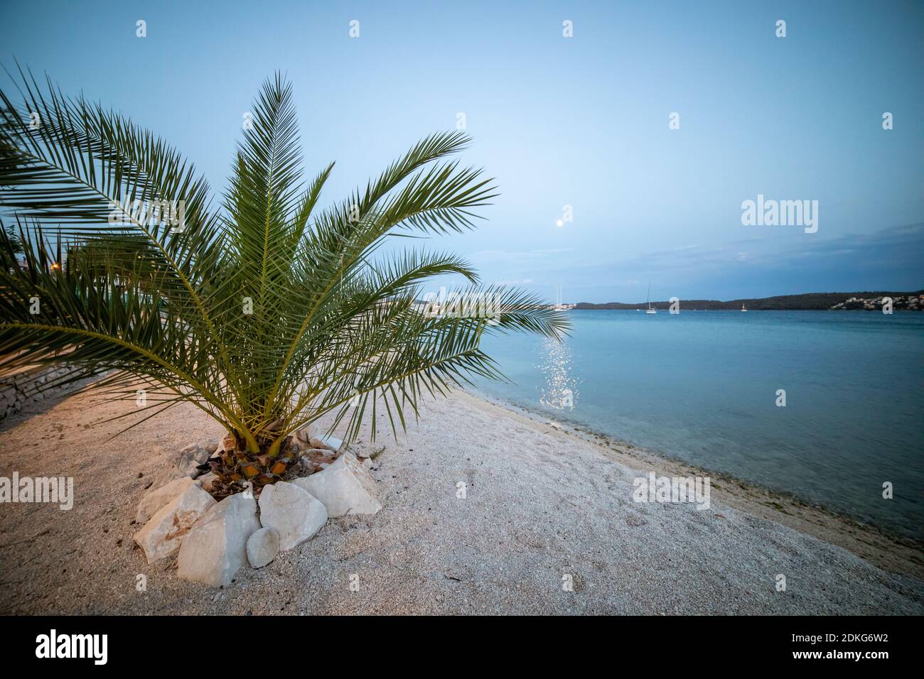 Eine Palme am Strand. Im Hintergrund sieht man das Meer und eine Bucht. Stockfoto