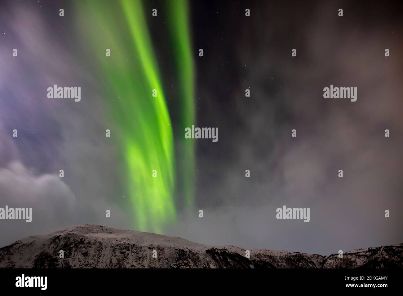 Nordlichter am Himmel über den schneebedeckten Lyngenalpen Stockfoto