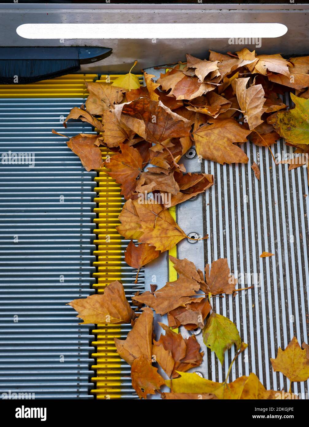 Essen, Ruhrgebiet, Nordrhein-Westfalen, Deutschland - farbenfrohe Herbstblätter liegen auf einer Rolltreppe. Stockfoto