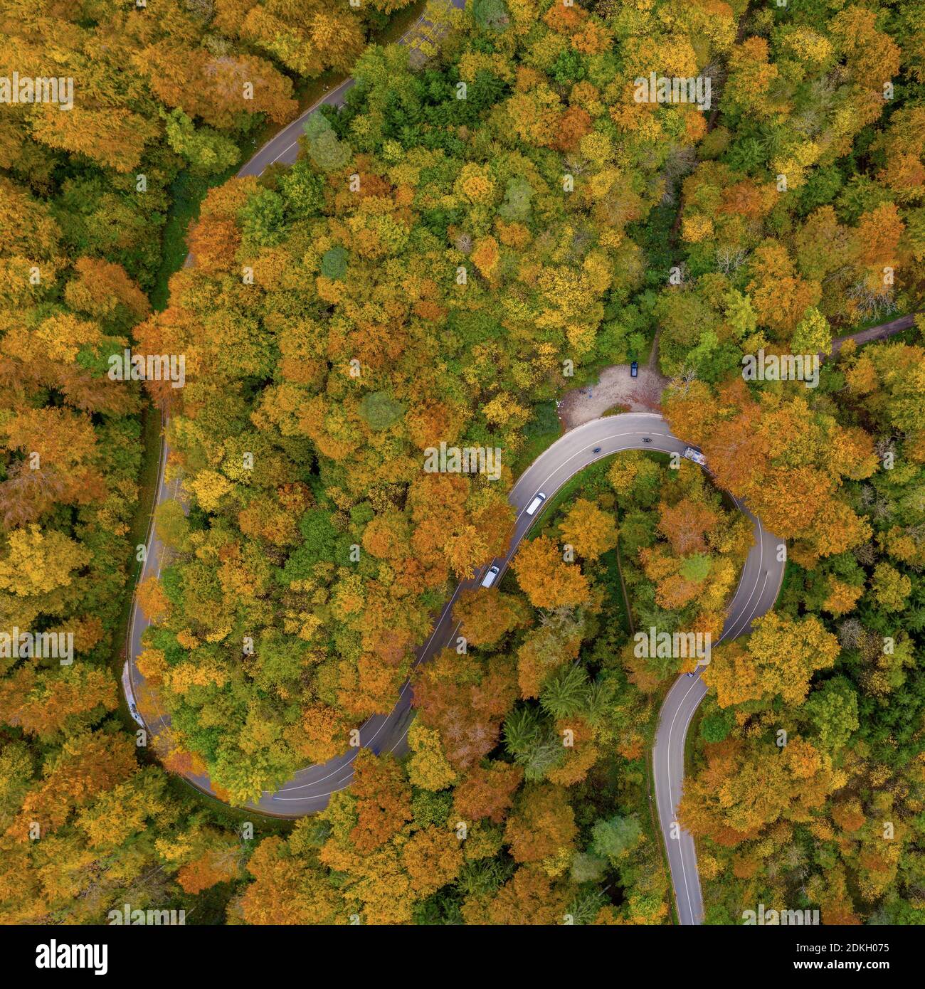 Herbst von oben mit einem Droneshot einer doppelten Kurve in einem bunten Wald und Autos fahren, schönen Herbst, positive emotionale Natur Foto Stockfoto