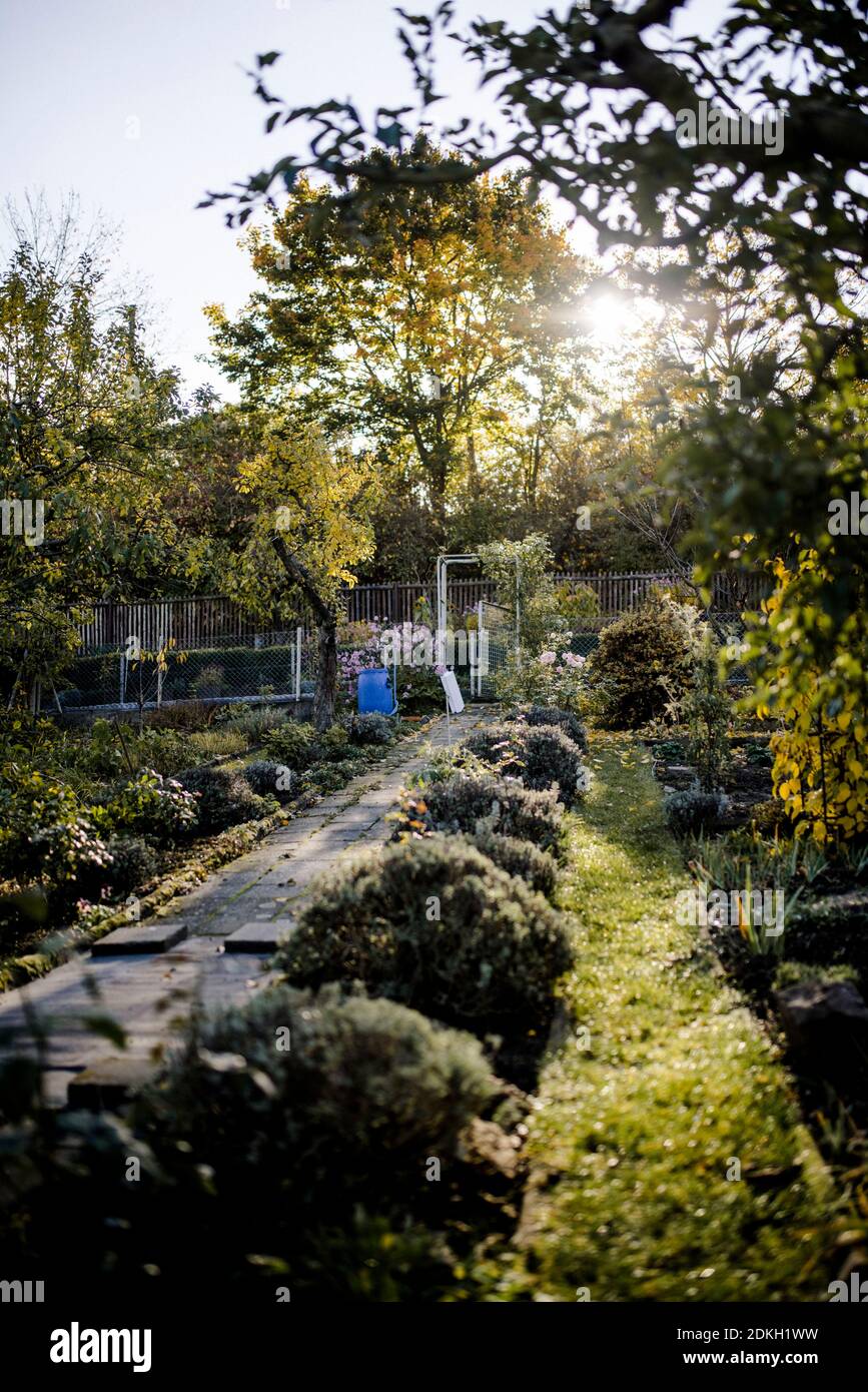 Herbstgarten in einem Schrebergartenclub Stockfoto