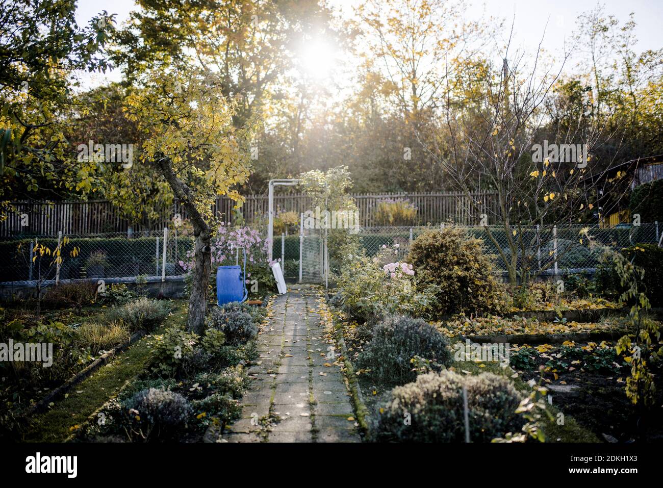 Herbstgarten in einem Schrebergartenclub Stockfoto