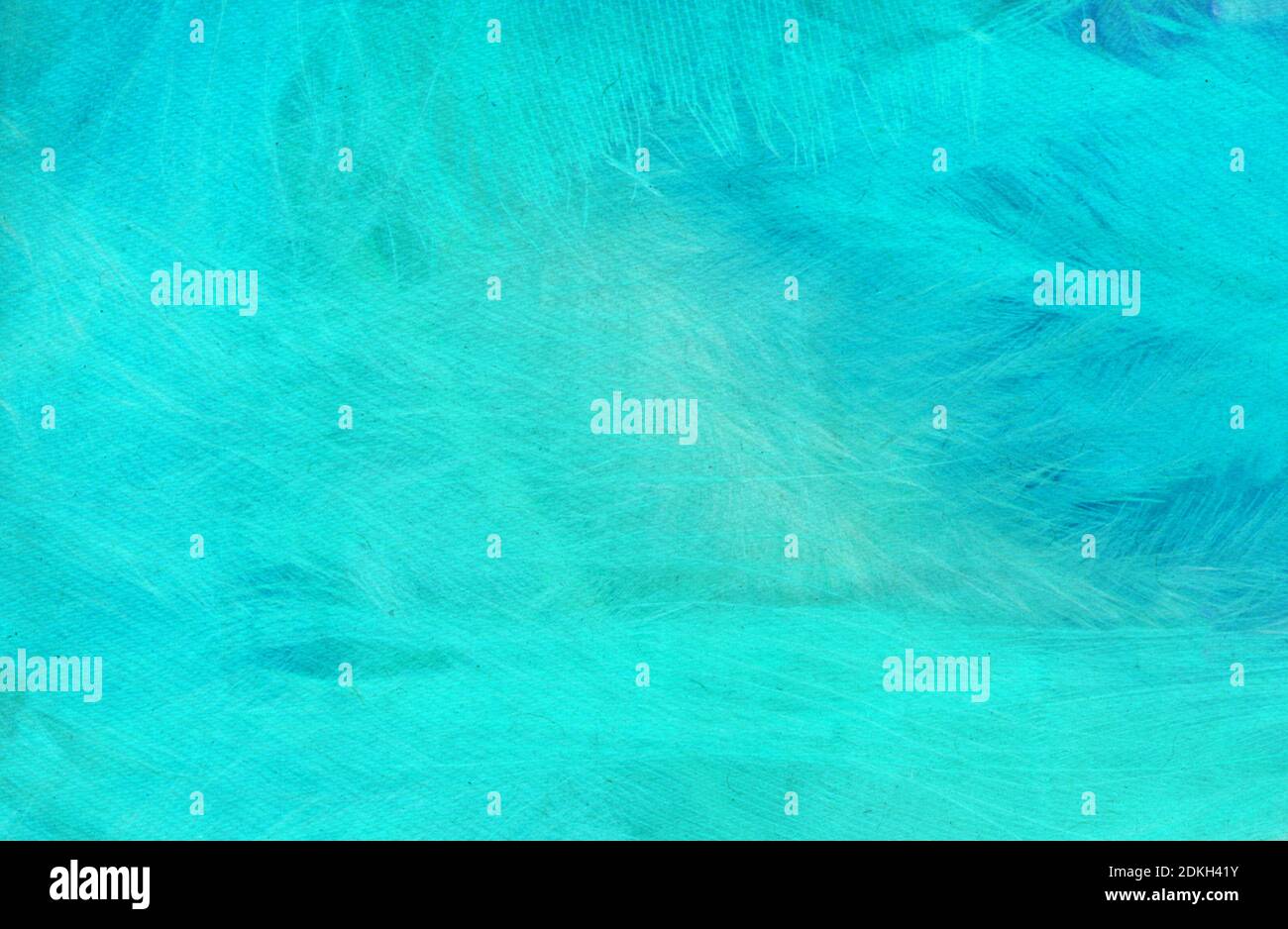 Blaue Federn Hintergrund - hohe Auflösung Stockfoto