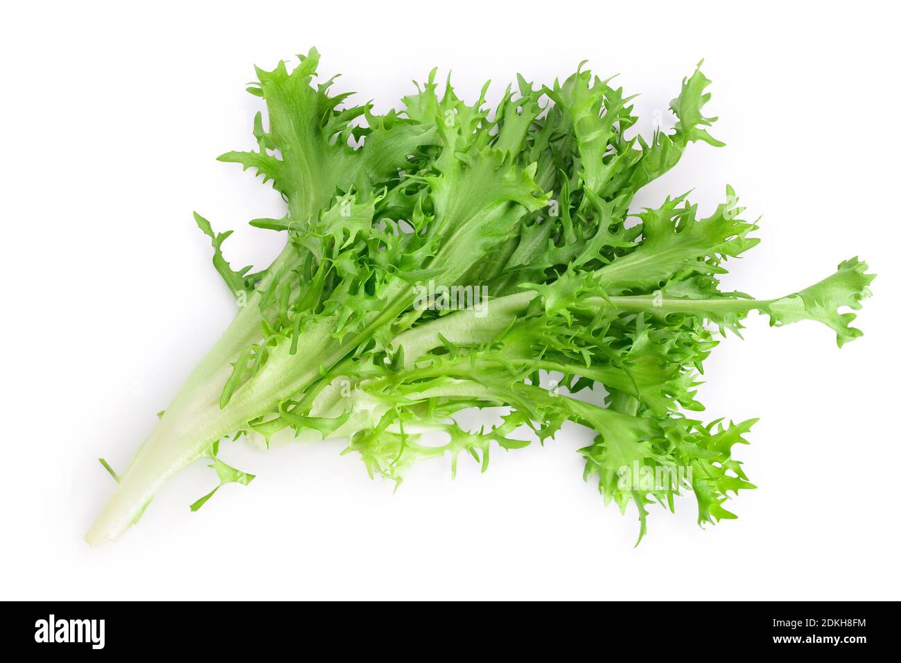 Frische grüne Blätter Endive Frisee Chicorée Salat isoliert auf weißem Hintergrund mit Clipping Pfad und volle Tiefe des Feldes, Draufsicht. Flach liegend. Stockfoto