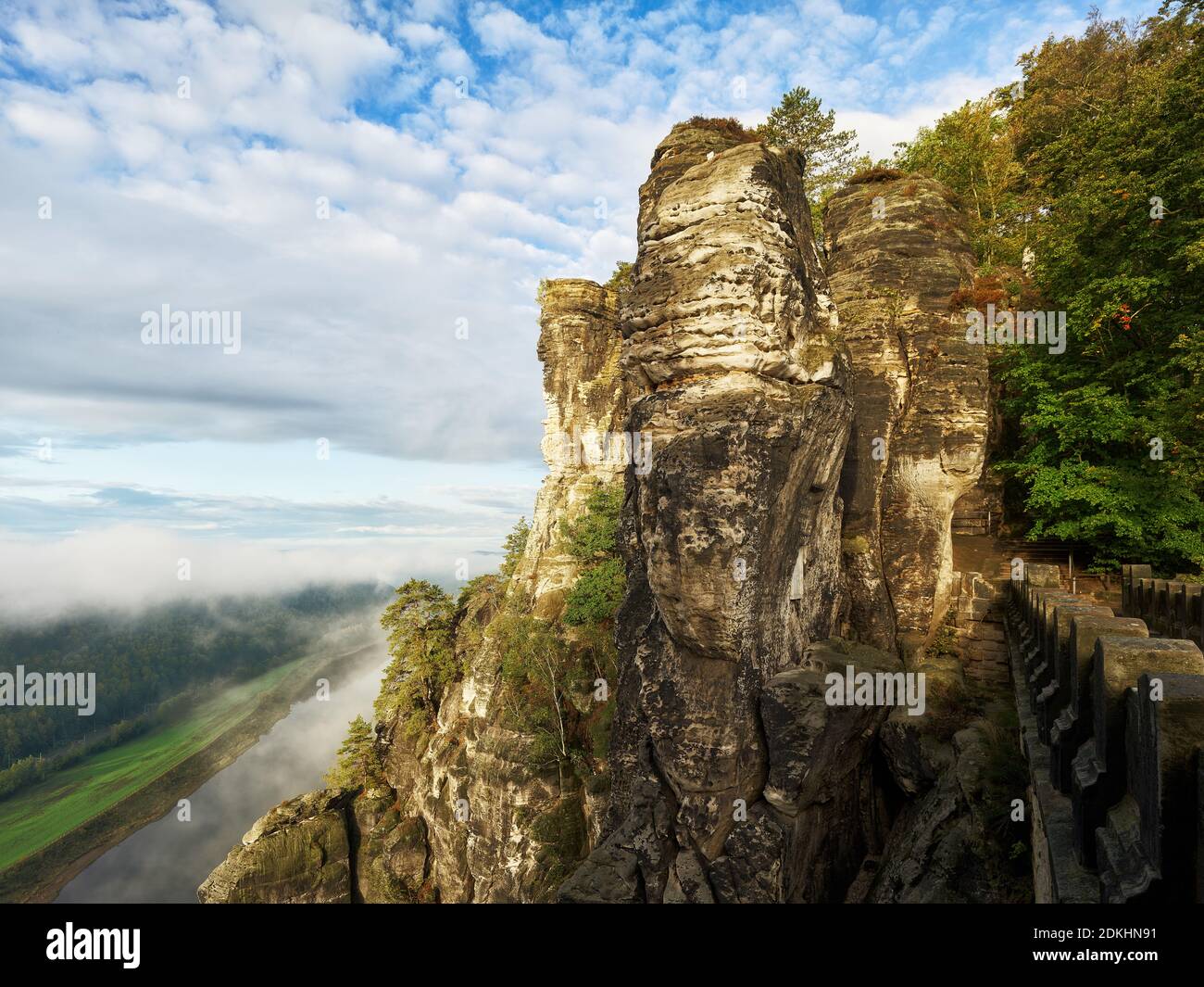 Tal, Felsen, Sandstein, Abgrund, Bergwald, Bastion, Farn, Moos, Herbst, Nationalpark, Sächsische Schweiz Stockfoto