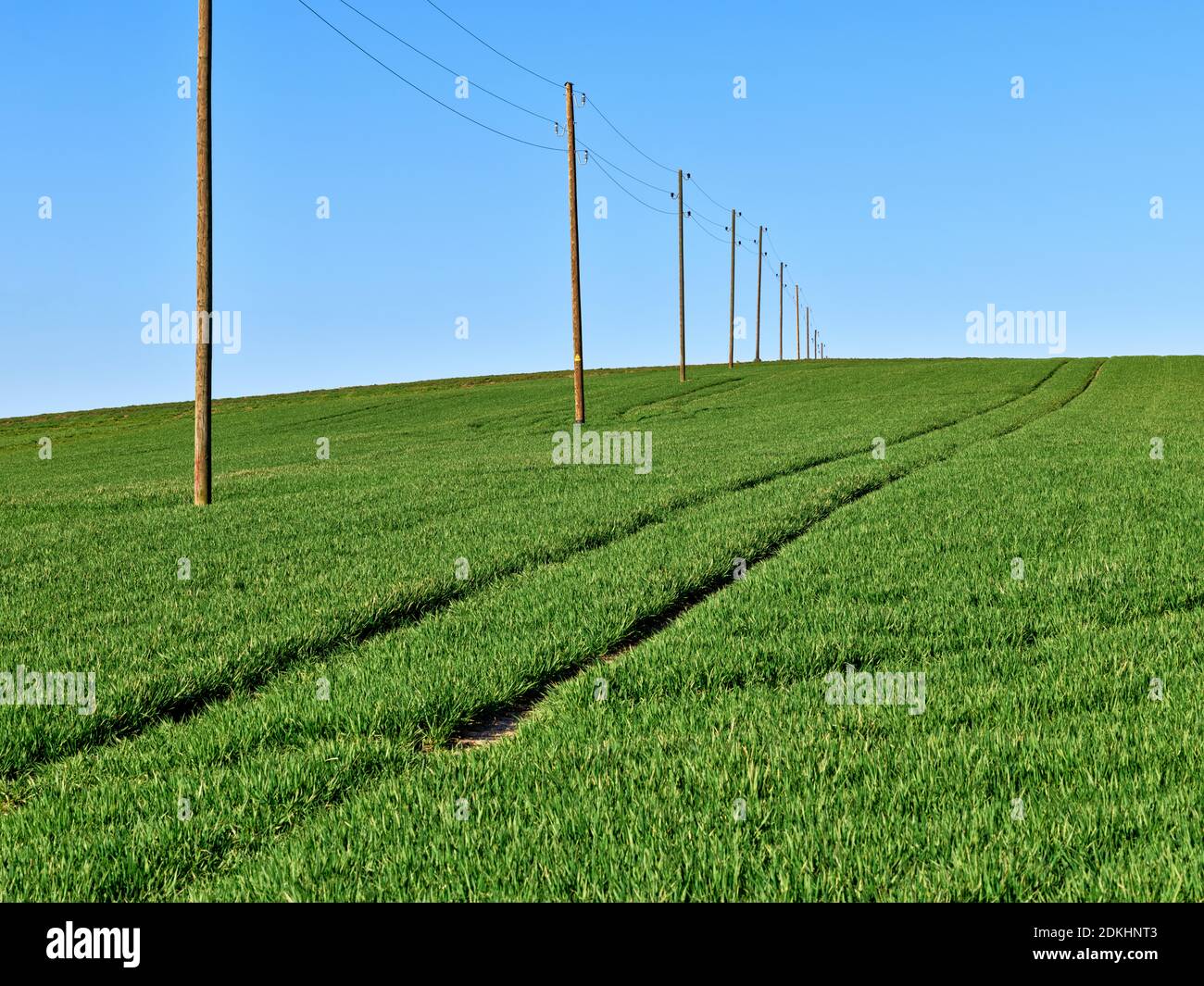 Feld, Stromleitung, Holzstangen, blauer Himmel, Wintersamen, Ackerland Stockfoto