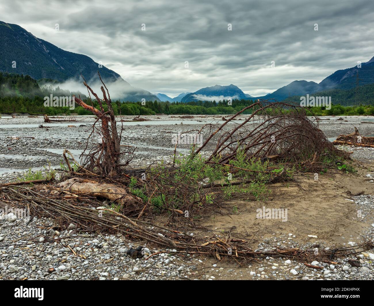 Totholz, Kiesufer, Fluss, fließendes Wasser, Wildfluss, Alpenfluss, Bergwald, Berghang, Berge, Gebirge, Gebirge, Alpen Stockfoto