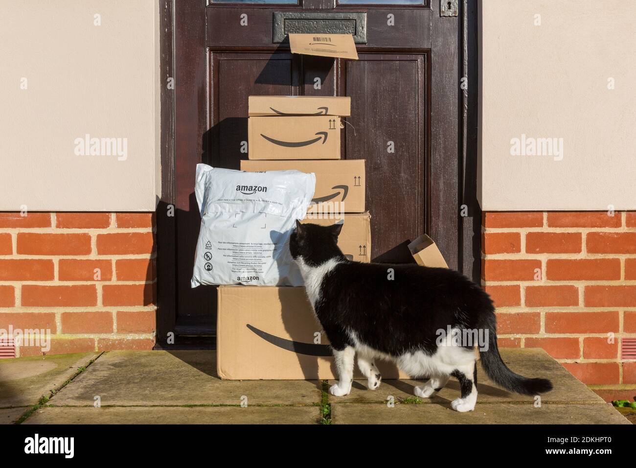 Online-Shopping, also eine Lieferung von paketen und Kartons von amazon vor einer Haustür mit einer neugierigen Katze. Stockfoto