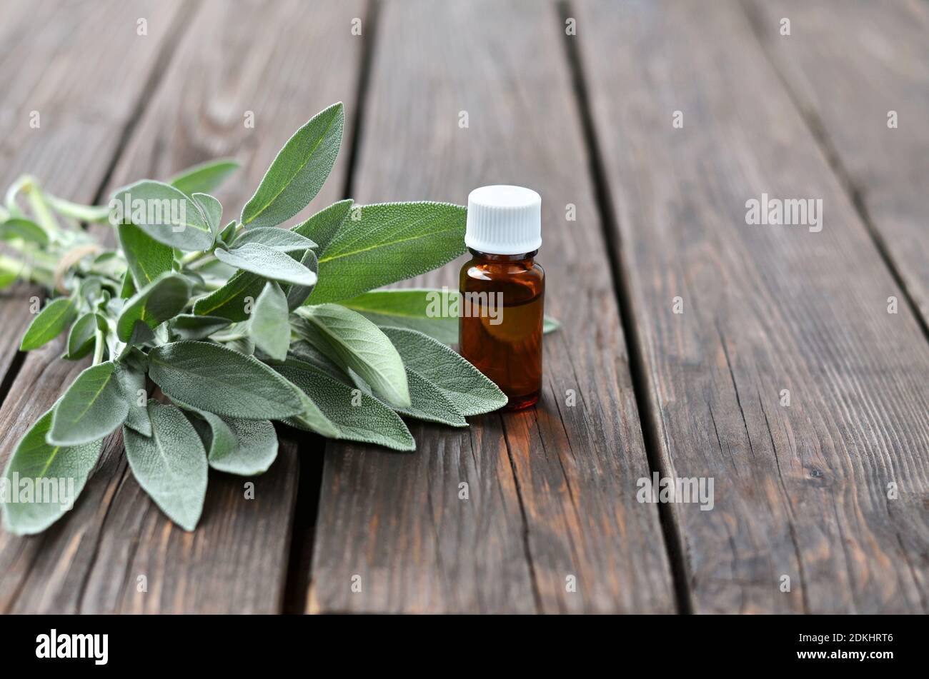 Salvia ätherisches Öl in einer Flasche und frisches Salbei Kraut auf einem rustikalen Holztisch mit Kopierraum. Stockfoto