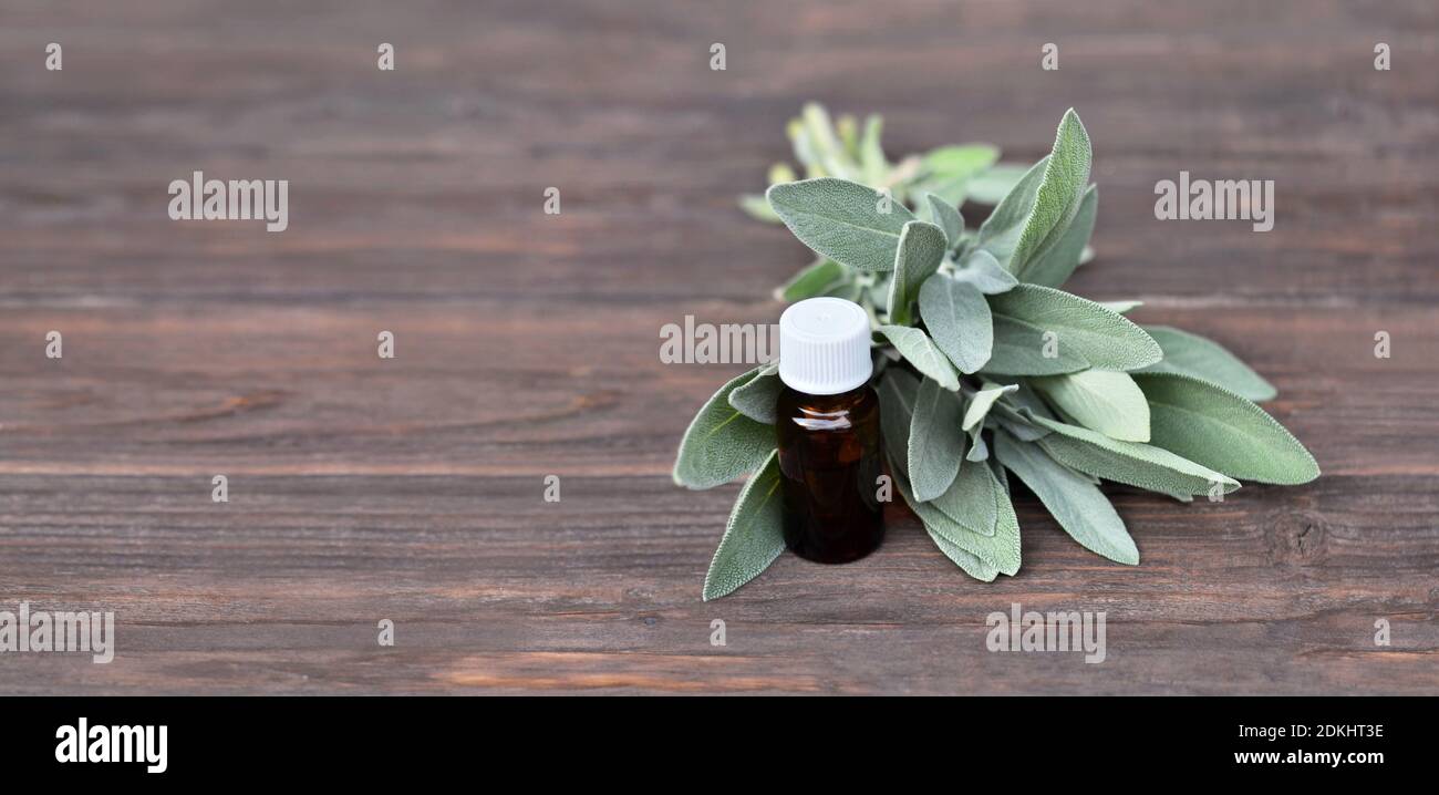 Salvia ätherisches Öl in einer Flasche und frisches Salbei Kraut auf einem hölzernen Hintergrund mit Kopierraum. Stockfoto