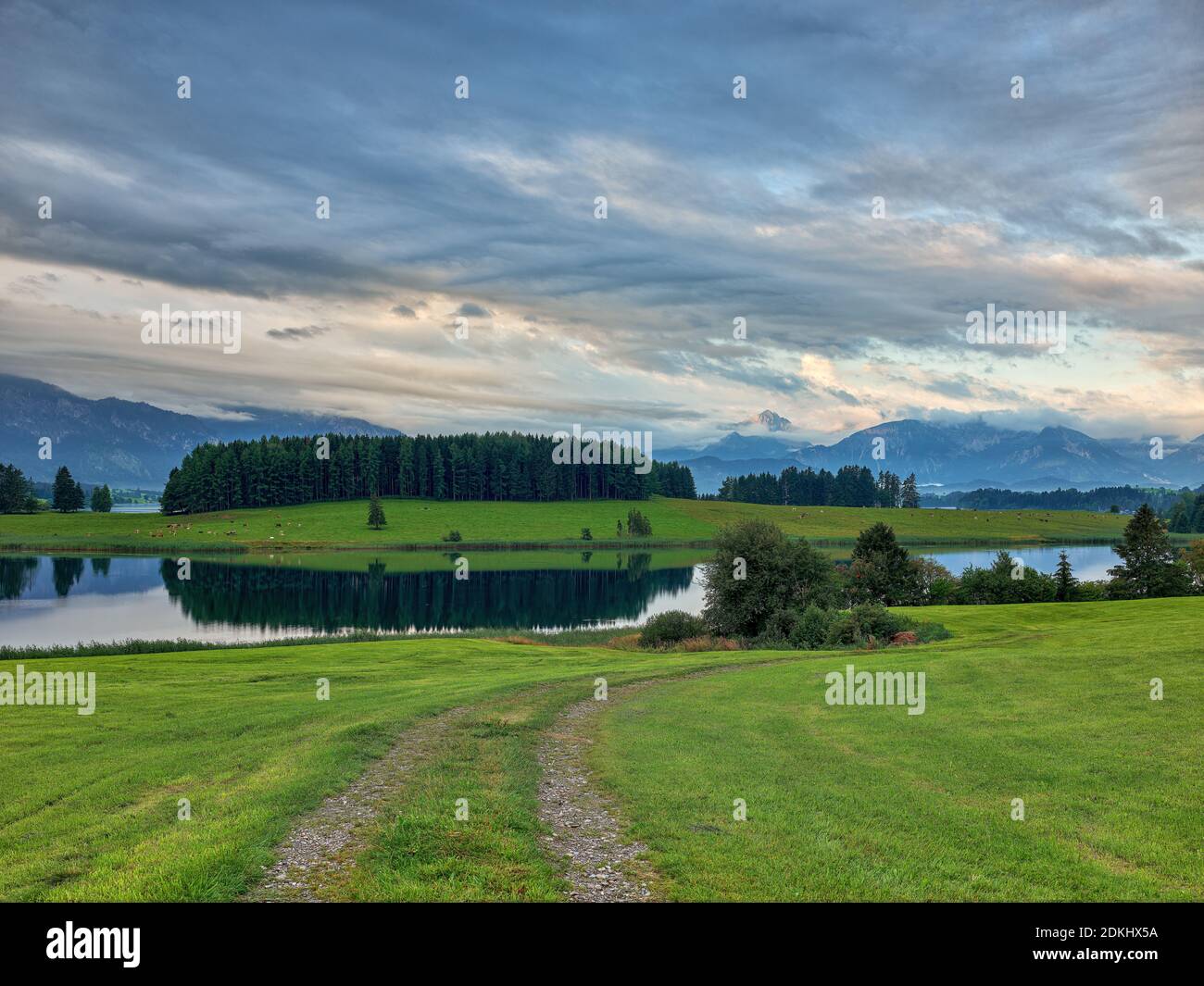 Stausee, Schlucht, Fluss, fließendes Wasser, Gebirge, Berge, Morgendämmerung, Morgennebel, Bergfluss, Alpenfluss, Alm, Weide, Wald Stockfoto