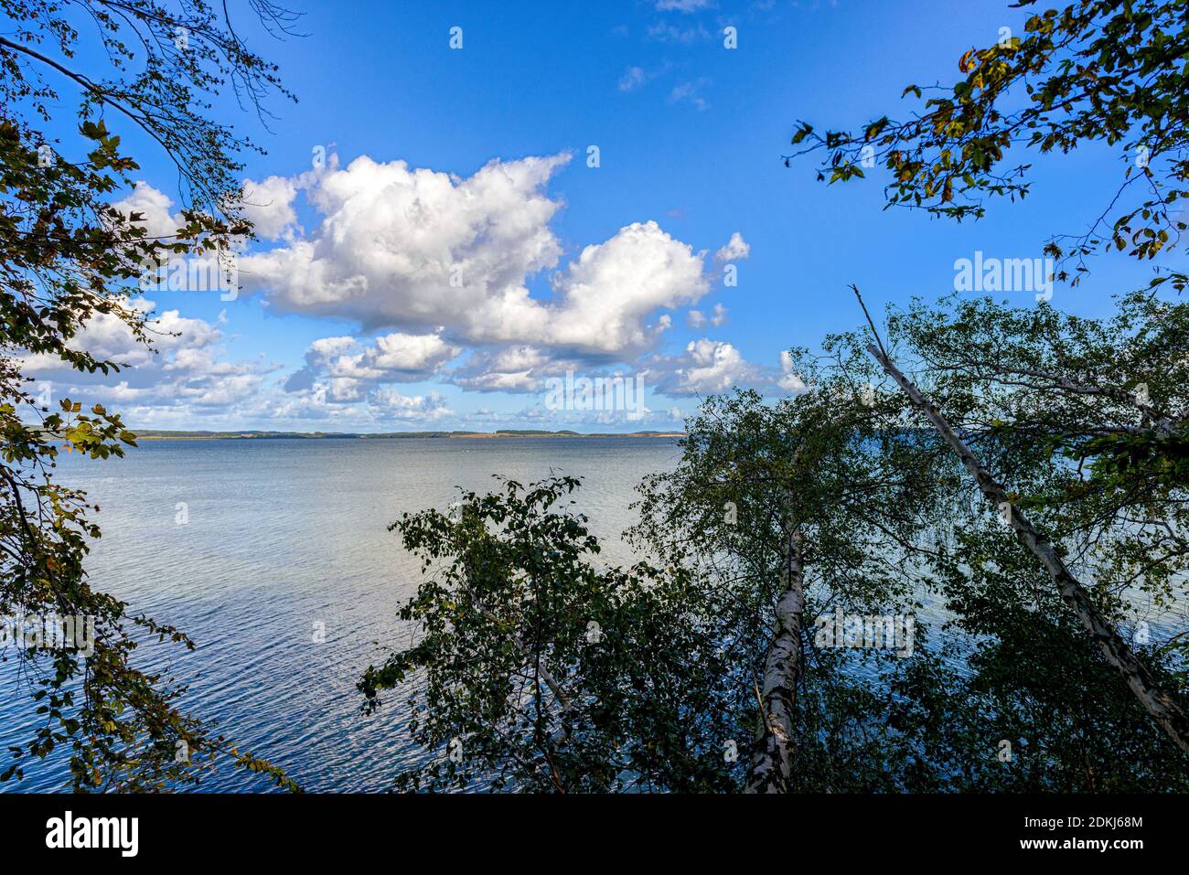 Baltikum, Biosphärenreservat Südost-Rügen, Deutschland, Greifswalder Bodden, Insel Vilm, Vorpommern-Rügen, Mecklenburg-Vorpommern, Naturlandschaften, Naturschutzgebiet Vilm-Insel, Ostsee, Pommern, Putbus, Rügen, Rügischen Bodden, Südliche Ostsee, Vorpommern Stockfoto