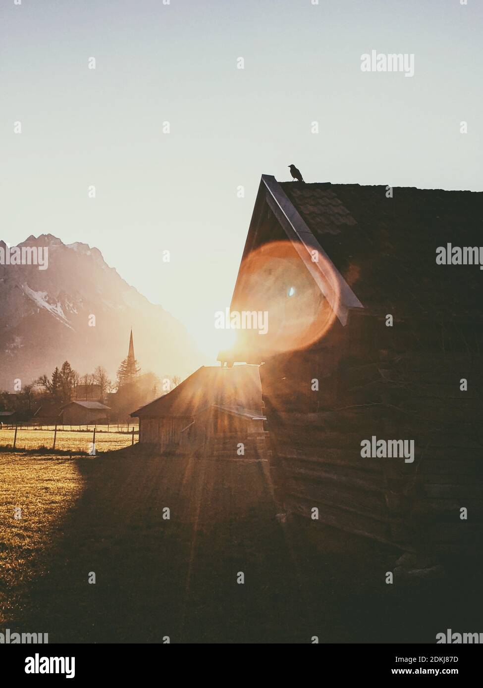 Krähe auf einer Heuscheune sitzend, Sonnenuntergang, Feld, Wetterstein, Zugspitze Stockfoto