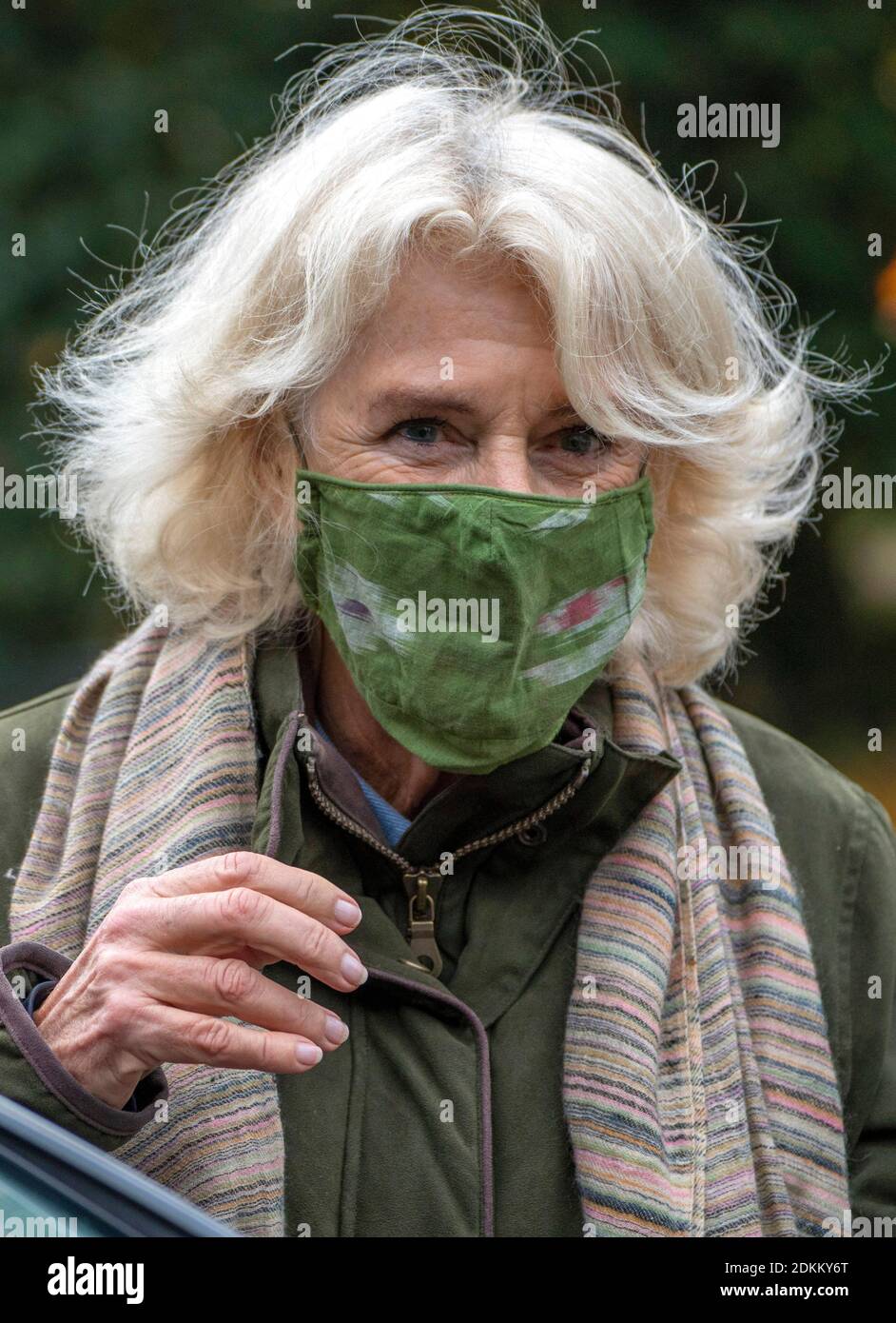 26. Oktober 2020 - Camilla Herzogin von Cornwall bei einem Besuch in Westonburt, dem National Arboretum in Tetbury, Gloucestershire. Das Arboretum zieht jährlich über 550,000 Besucher an und bietet eine wunderschöne Landschaft, die die Menschen besuchen können, um sich über Bäume zu informieren und sie zu erkunden.Es ist eine wichtige Ressource für Wissenschaftler, um mehr über diese Pflanzen zu erforschen und zu verstehen, wie sie für die Zukunft geschützt werden können. Bildnachweis: ALPR/AdMedia /MediaPunch ***NUR FÜR USA*** Stockfoto