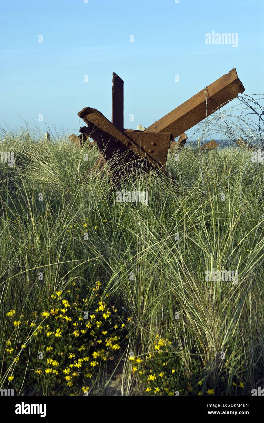 Ein 'tschechischer Igel', ein deutsches Panzerhindernis aus Metallbalken am Utah Beach, Normandie, Frankreich. Stockfoto