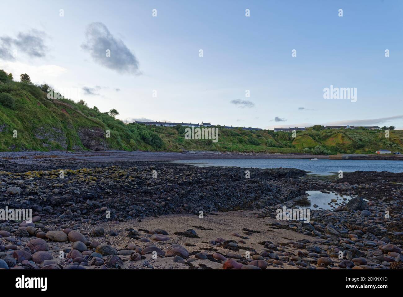 Das kleine Fischerdorf Catterline in Aberdeenshire blickt über die alten bewachsenen Klippen hinunter zur Bucht mit ruhigem Wasser bei Low Tide. Stockfoto