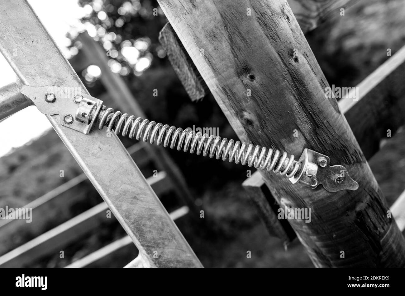 Federbelastete verzinkte Metalltür an einem Holzpfosten befestigt. Stockfoto