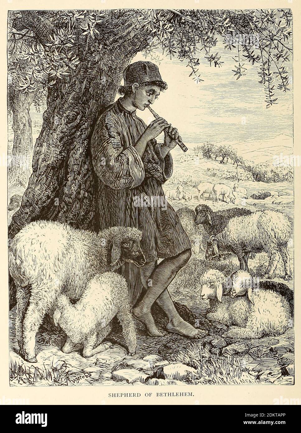 Shepherd flute Fotos und Bildmaterial in hoher Auflösung Alamy