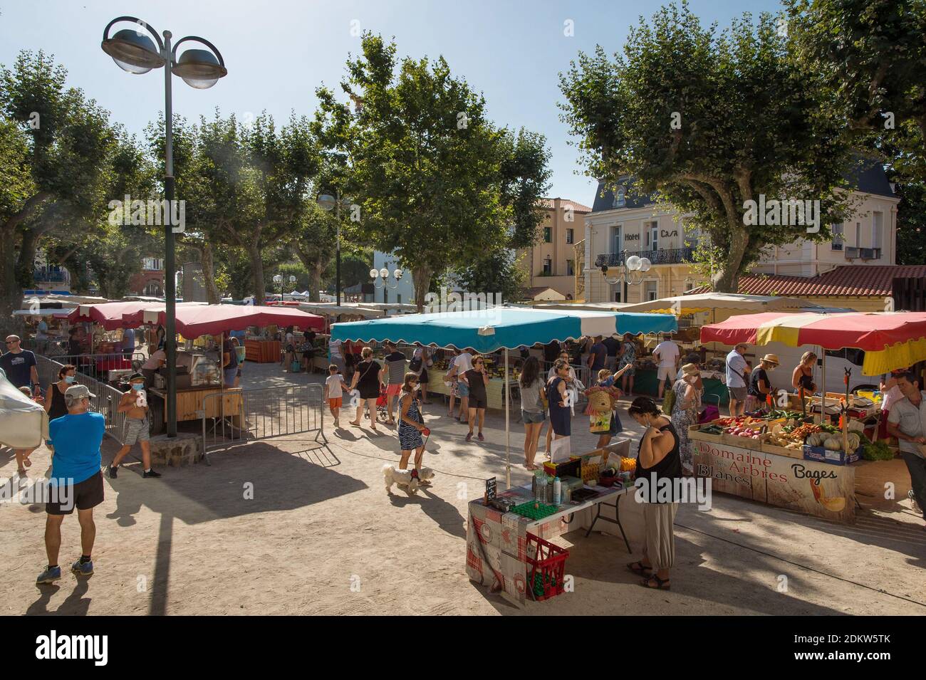 Collioure (Südfrankreich): Markt im Stadtzentrum Stockfoto