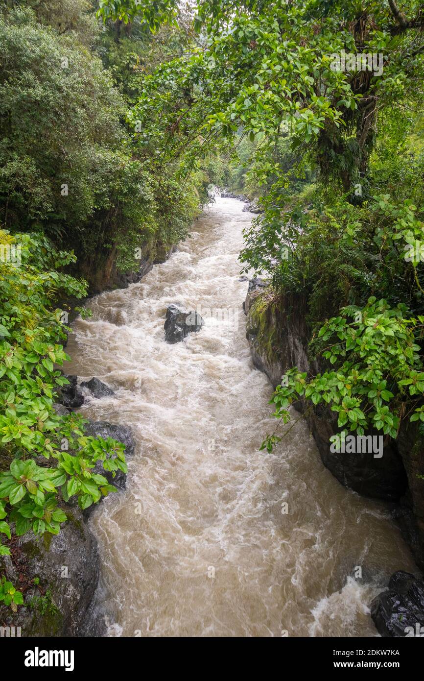 Der Toachi-Fluss im Westen Ecuadors in Überschwemmung durch eine steile Schlucht. Stockfoto