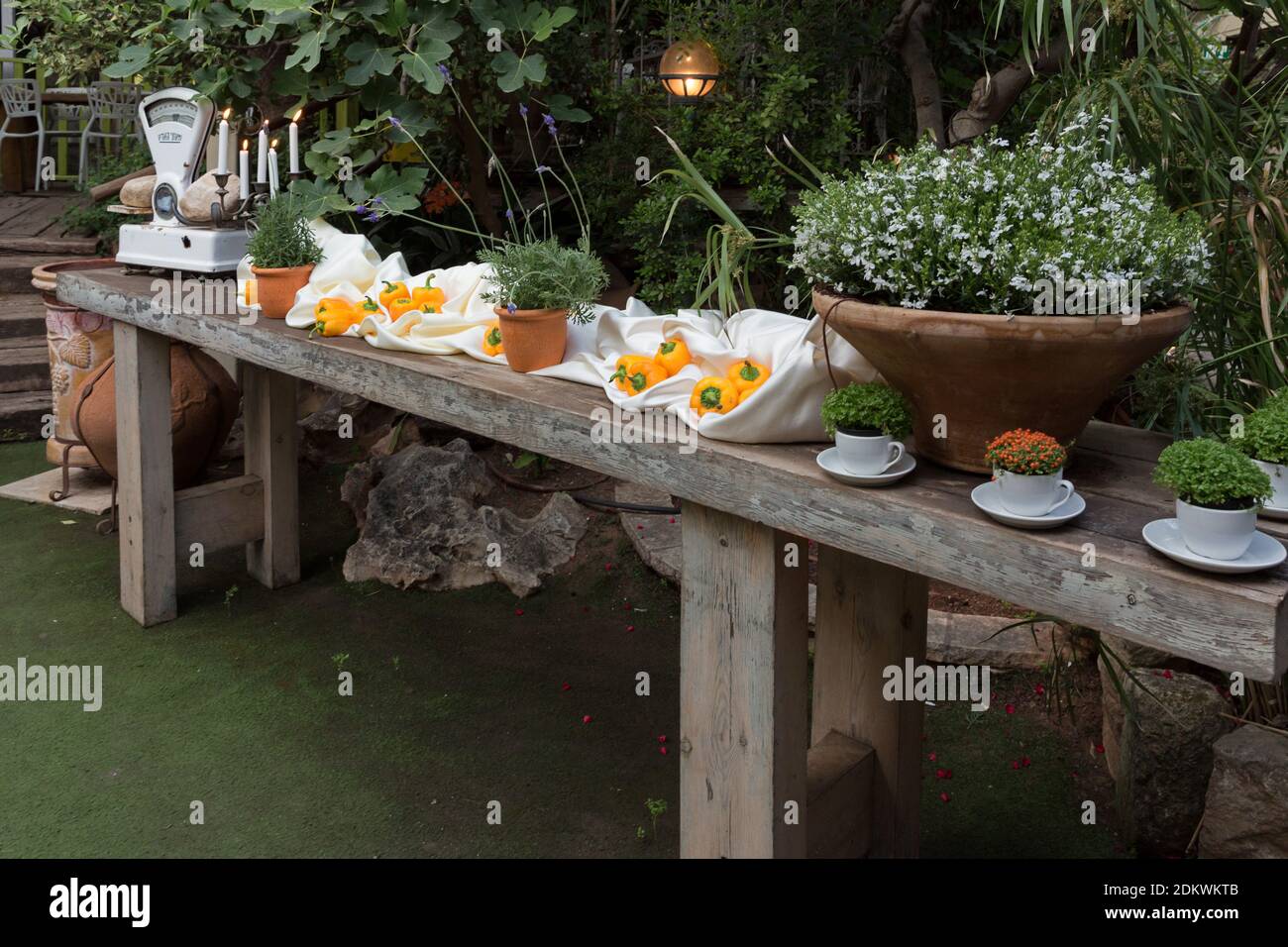 Buffet-Tisch im Garten Stockfoto