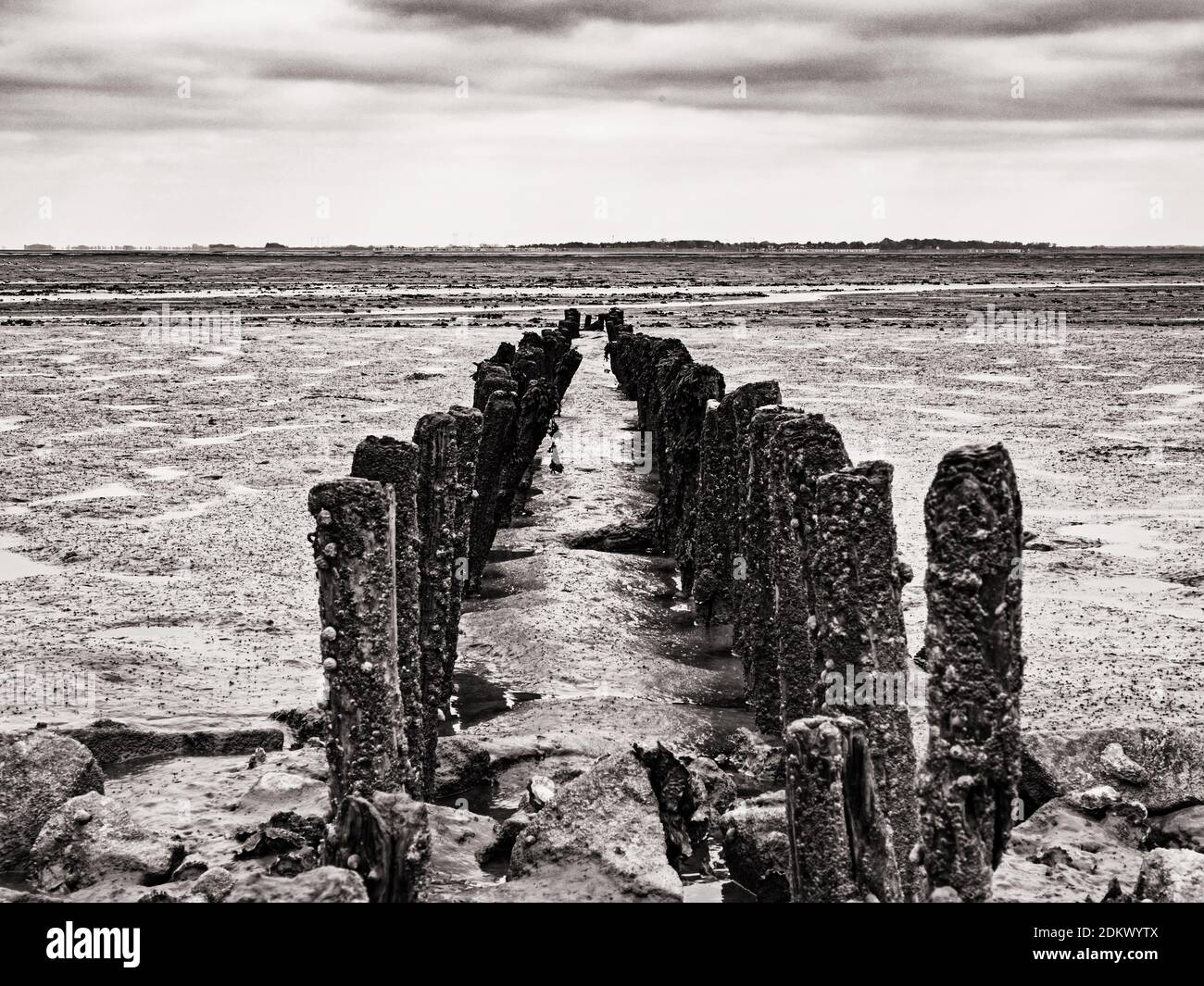 Monochrome Aufnahme von Groynes in der Nordsee bei Ebbe in der Nähe der Stadt Wilhelmshaven, Deutschland Stockfoto