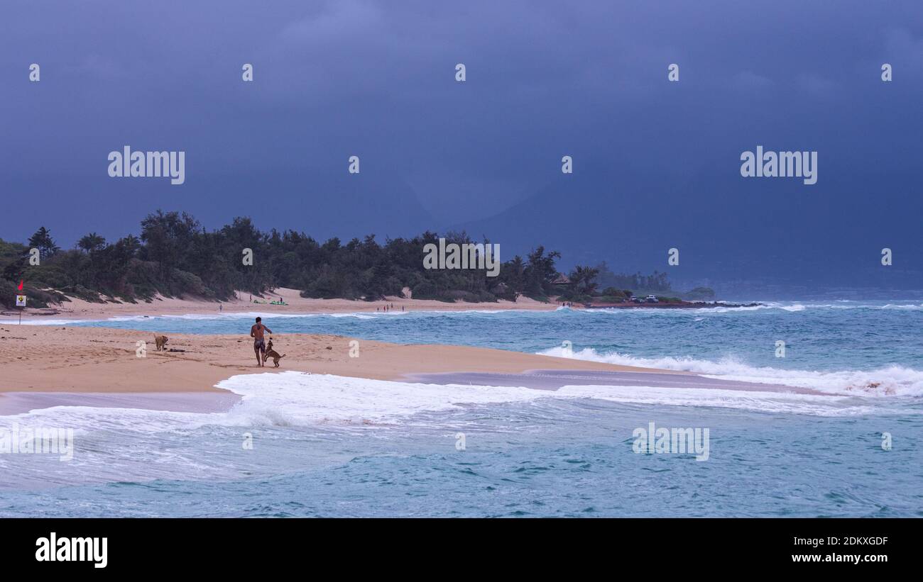 Mann mit Hund bei einem Spaziergang am Strand auf Maui, Hawaii Stockfoto