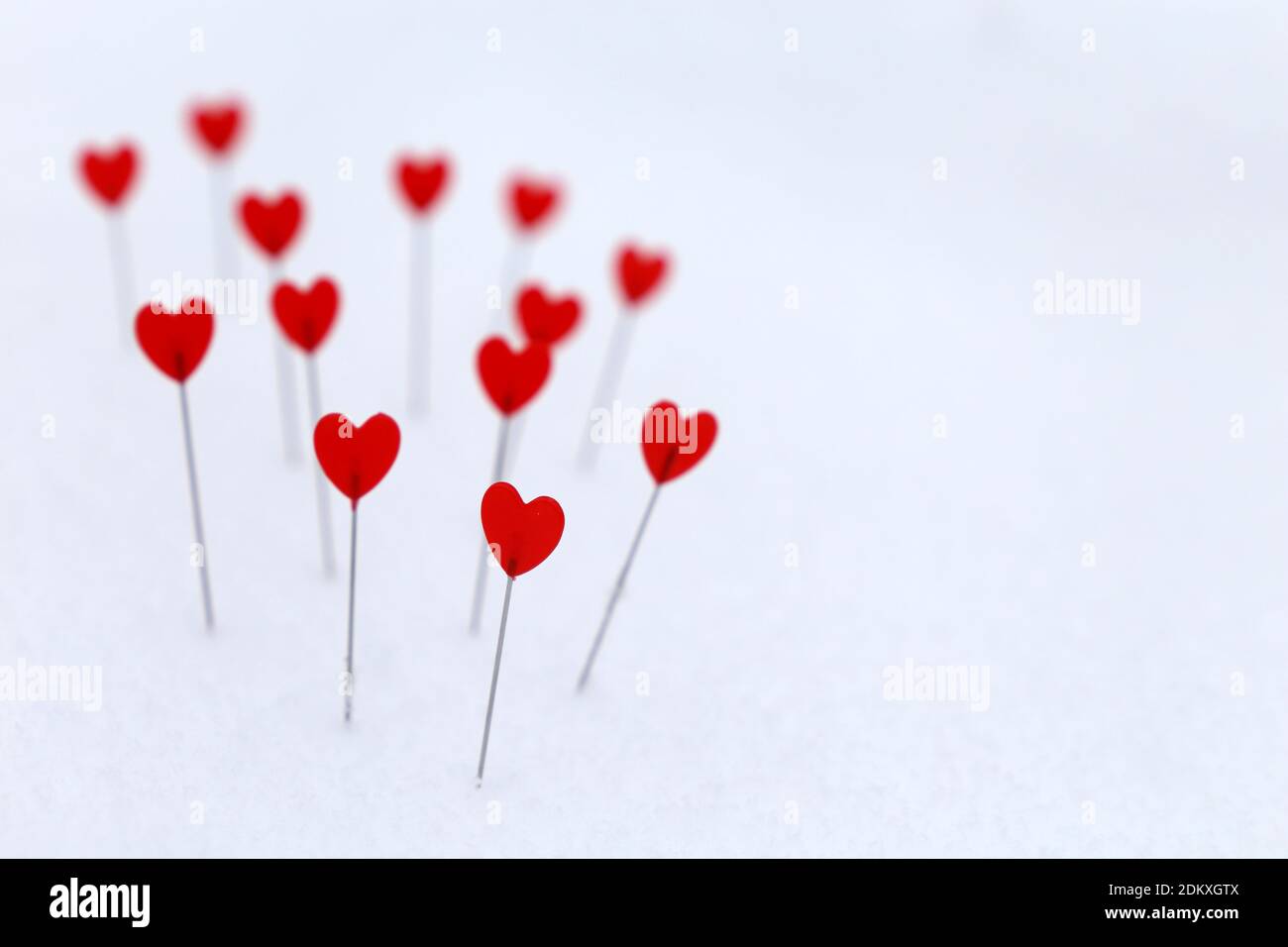 Rote Herzen auf dem Schnee. Hintergrund für romantische Liebe, Grußkarte, Valentinstag Stockfoto