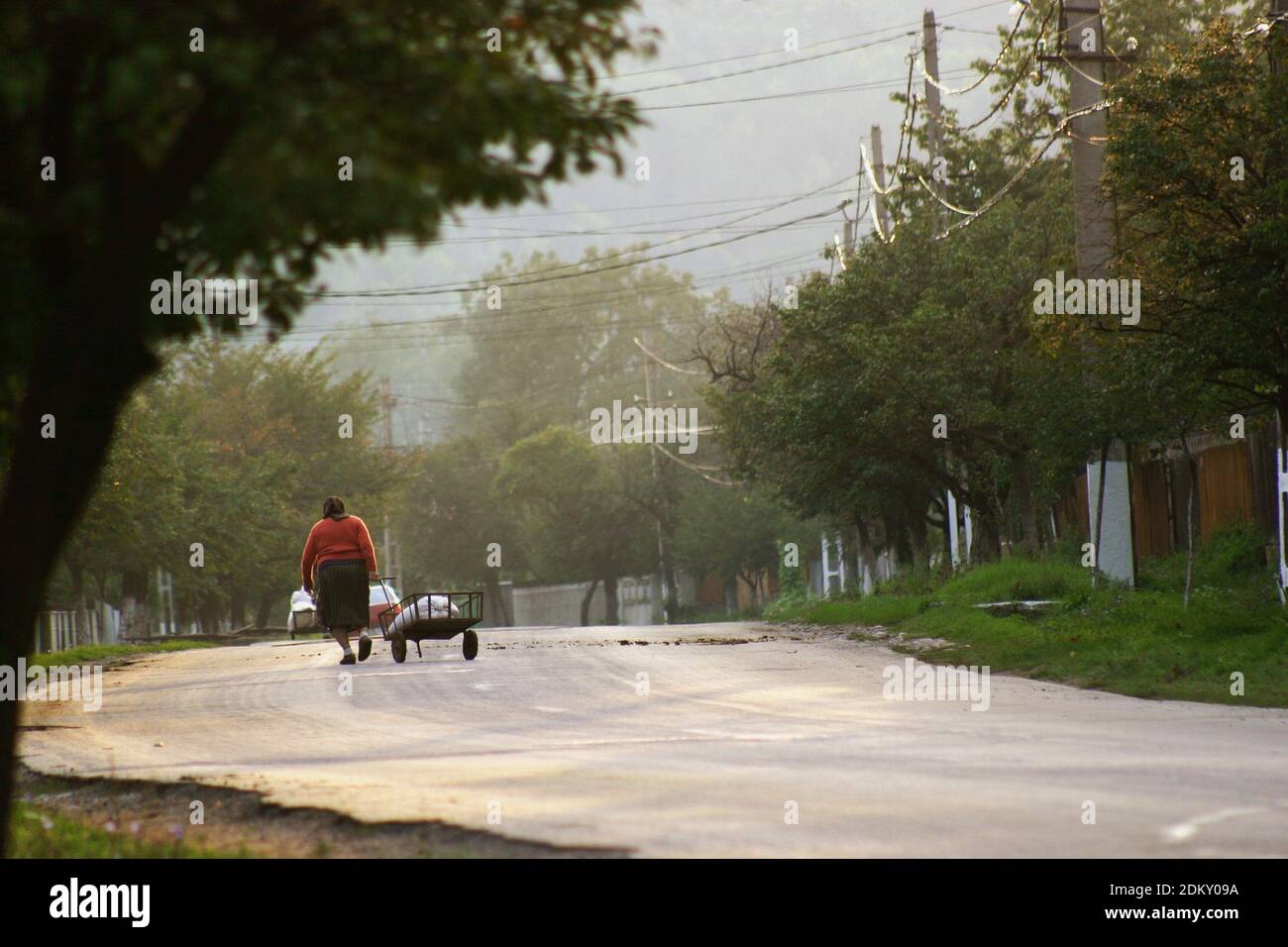 Frau zieht einen Versorgungswagen auf einer Landstraße in Vrancea, Rumänien Stockfoto