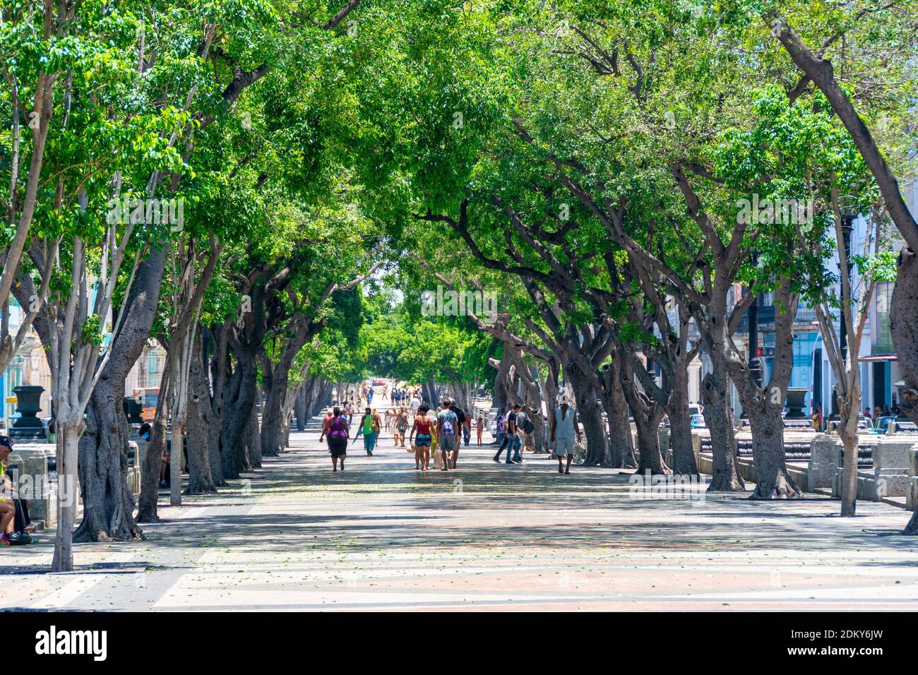 El Paseo del Prado, Havanna, Kuba Stockfoto