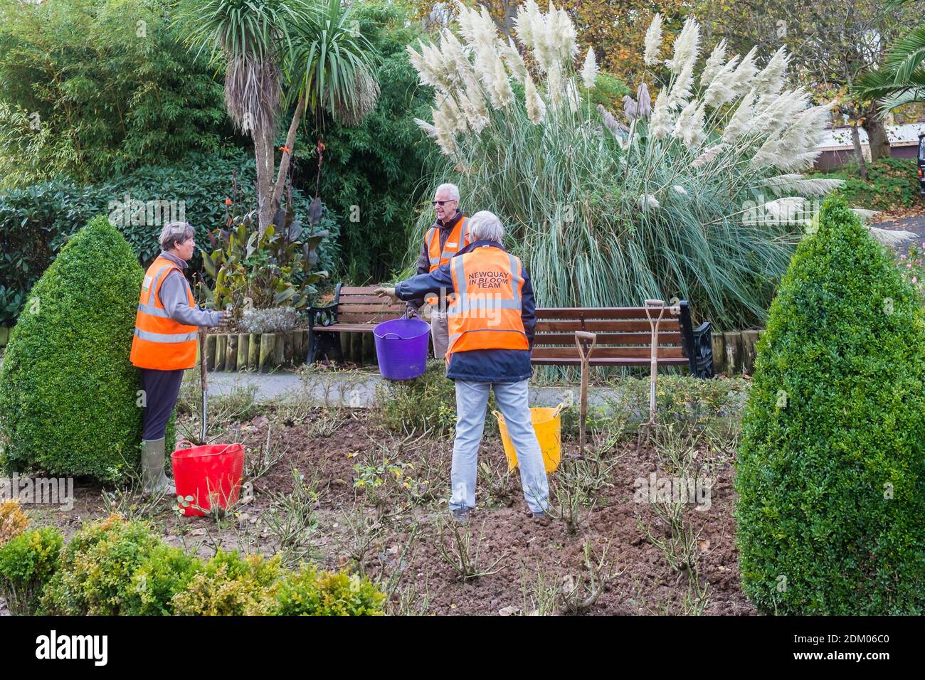 Freiwillige von der Newquay in Bloom Gartenbaugruppe arbeiten in Trenance Gardens in Newquay in Cornwall Stockfoto