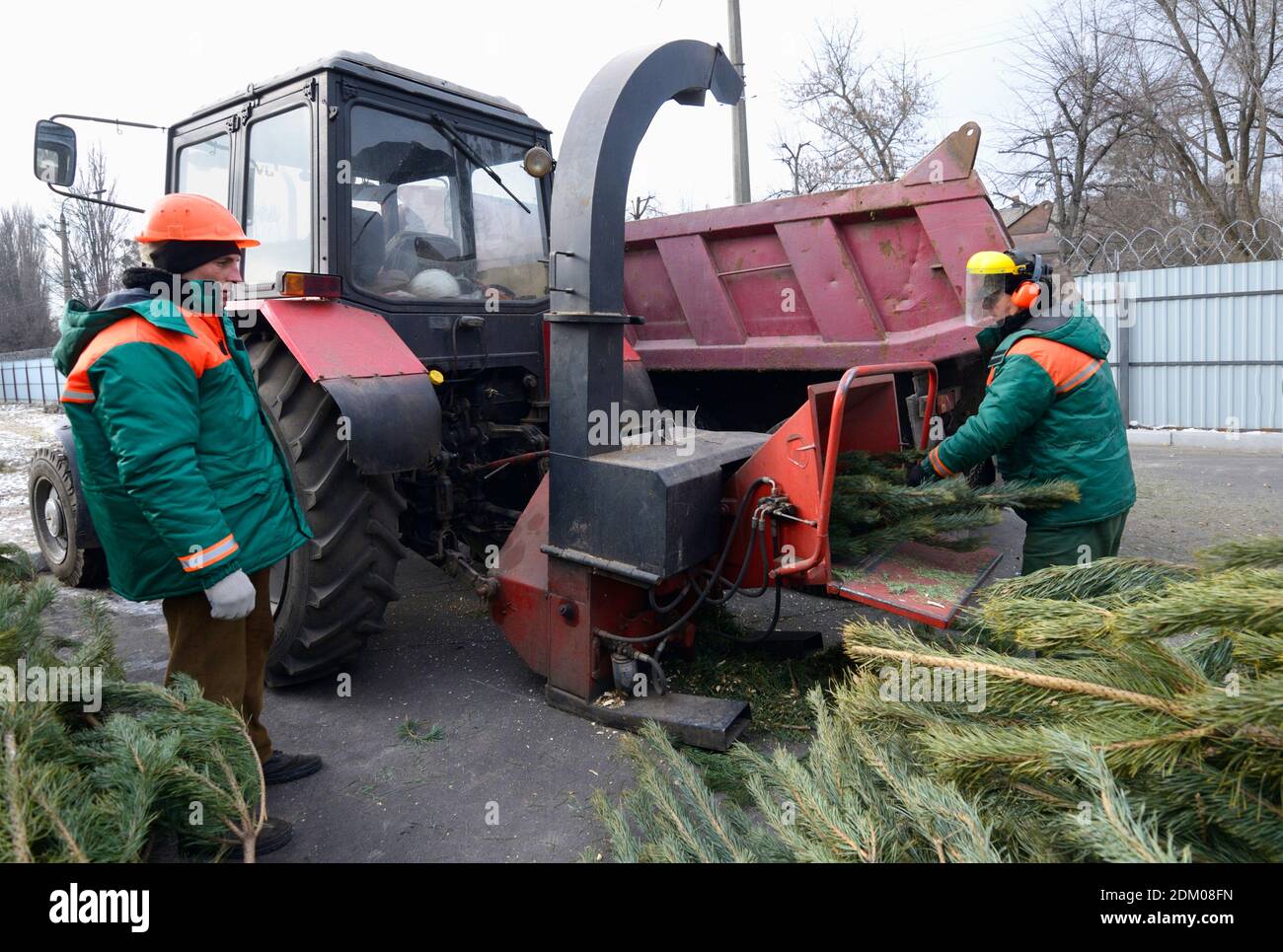 Kommunale Arbeiter stellt Zweige von gebrauchten Weihnachtsbaum in Empfänger von Hackern. Sammelstelle für das Recycling gebrauchter Weihnachtsbäume. Kiew, Ukraine. Jan Stockfoto