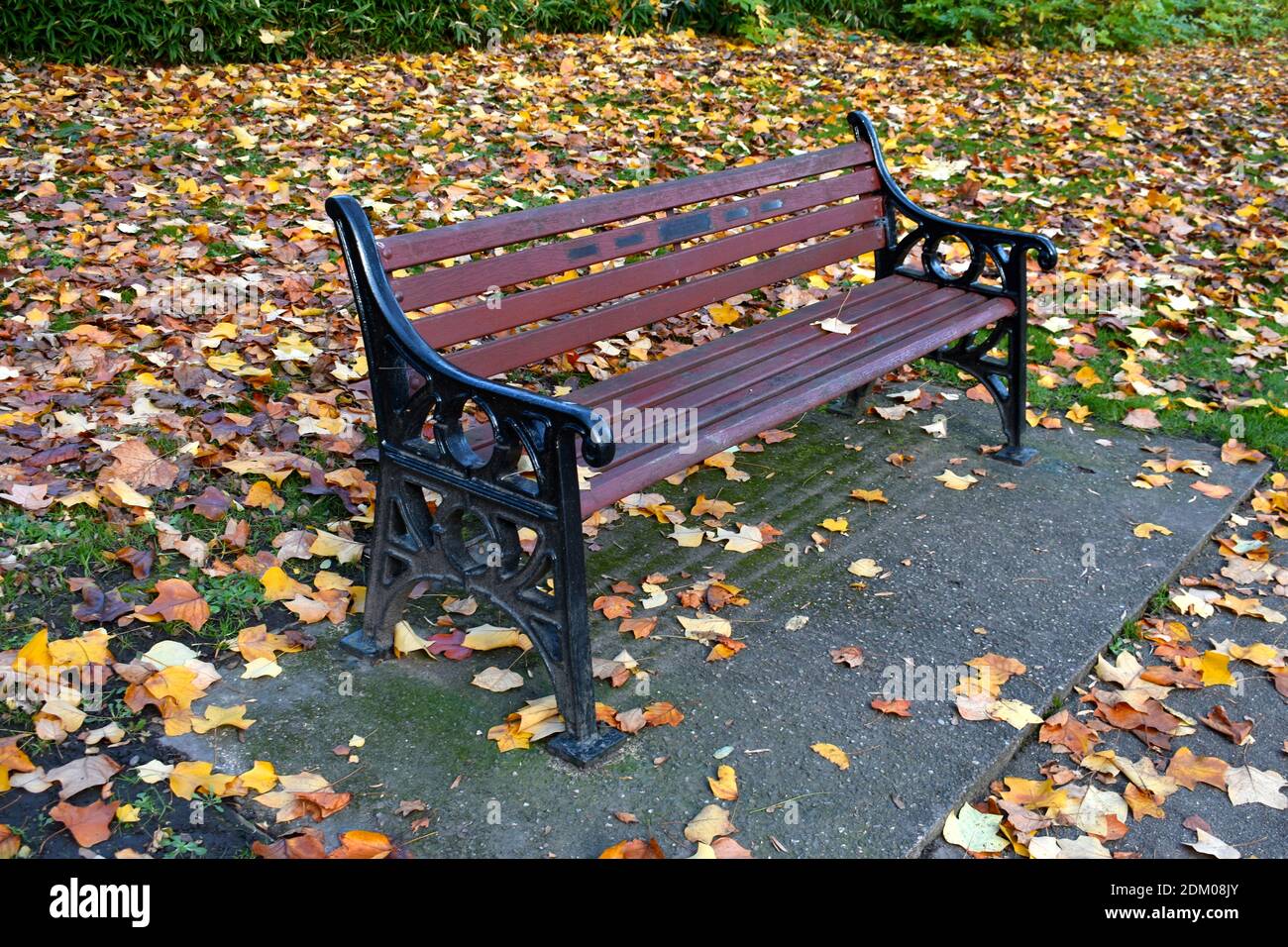 Nahaufnahme leerer hölzerner Parkbank draußen im Spätherbst an einem feuchten Tag, mit goldenen Blättern, die den Boden überziehen Stockfoto